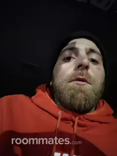 Roommate looking Dayton, OH, $600