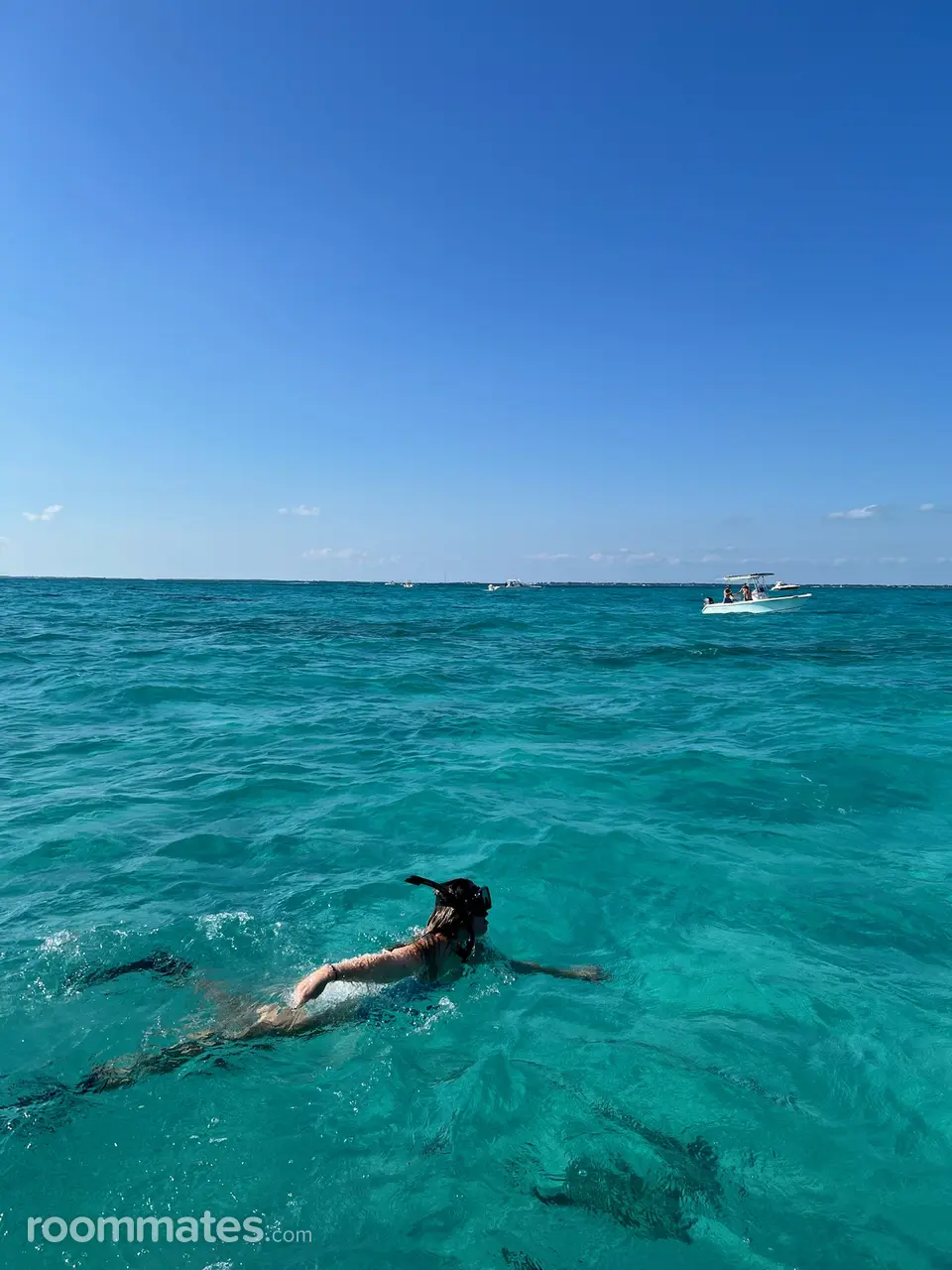 Profile photo 4 of 10