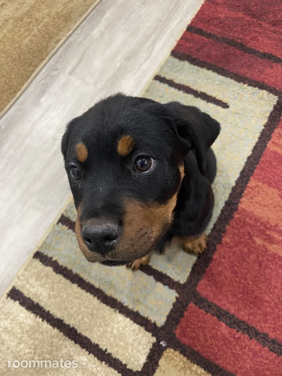 Profile photo 5 of 5