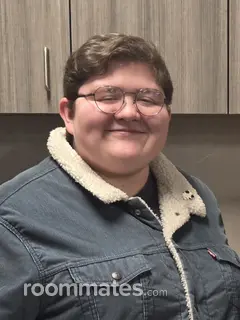 Roommate looking Royal Oak, MI, $1100