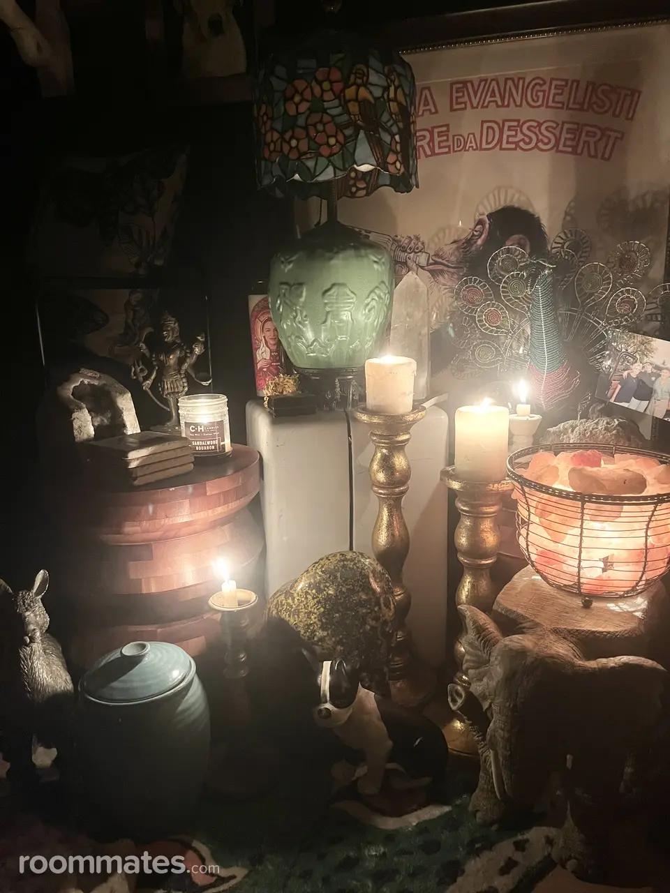 Profile photo 3 of 11