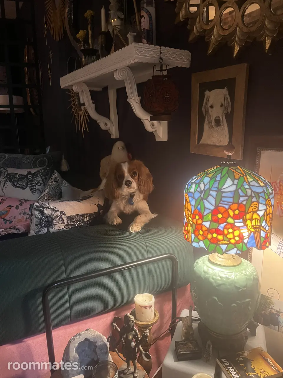 Profile photo 5 of 11