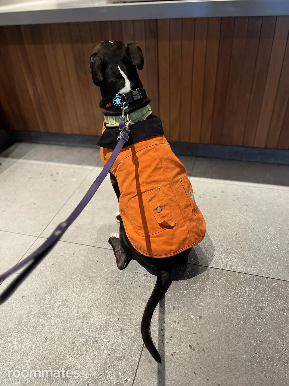 Profile photo 4 of 11