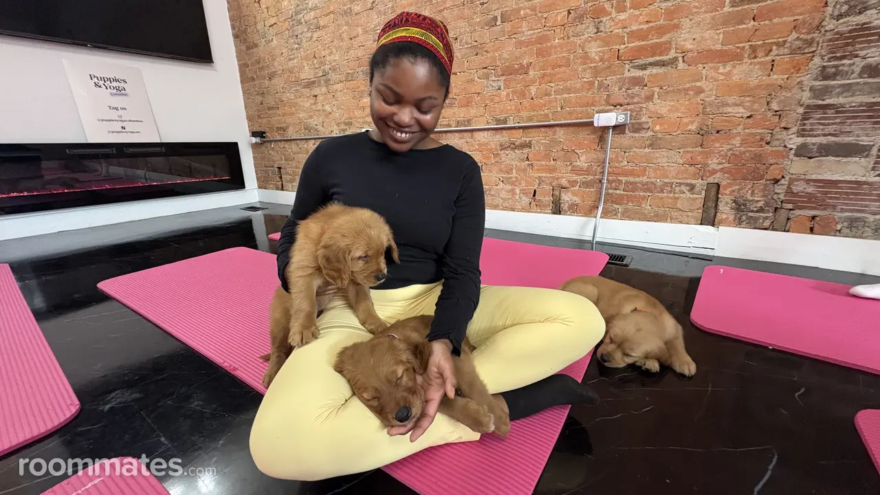 Profile photo 1 of 1