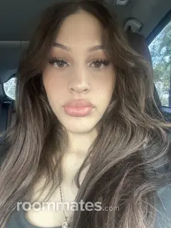 Roommate looking Miami, FL, $1100