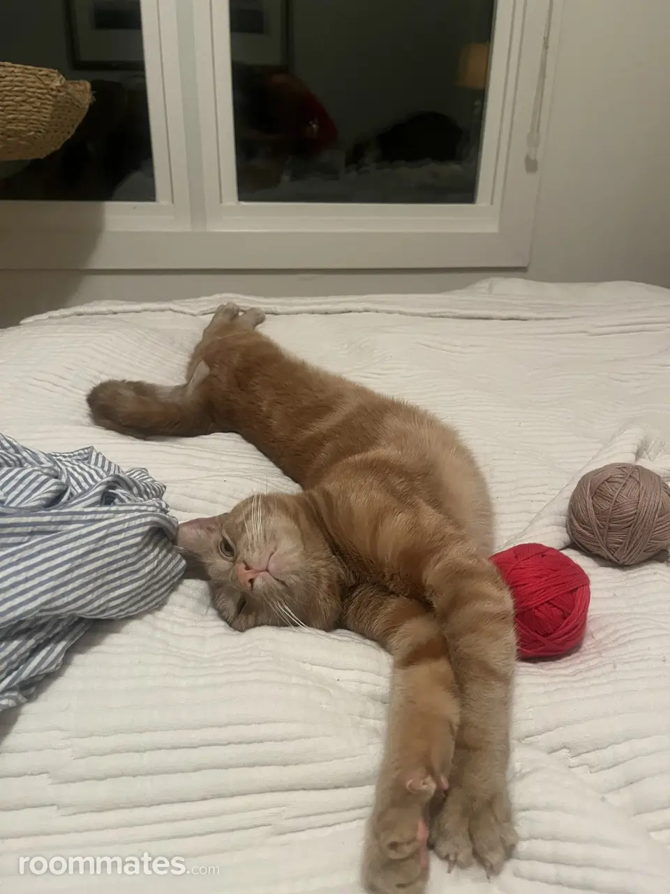 Profile photo 6 of 8