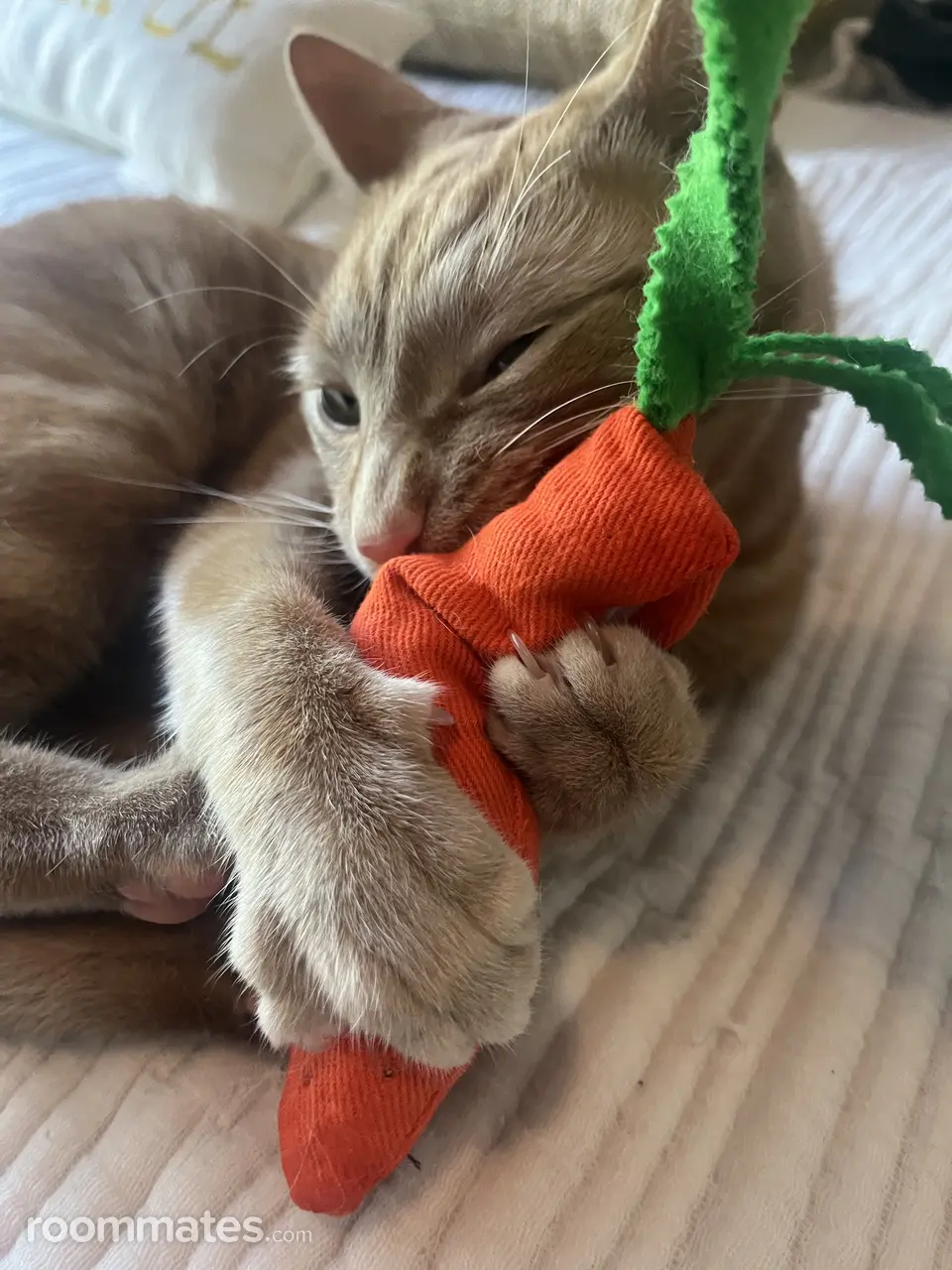 Profile photo 5 of 8