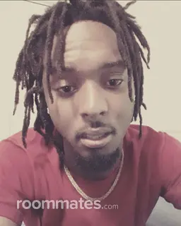 Roommate looking Pittsburgh, PA, $800