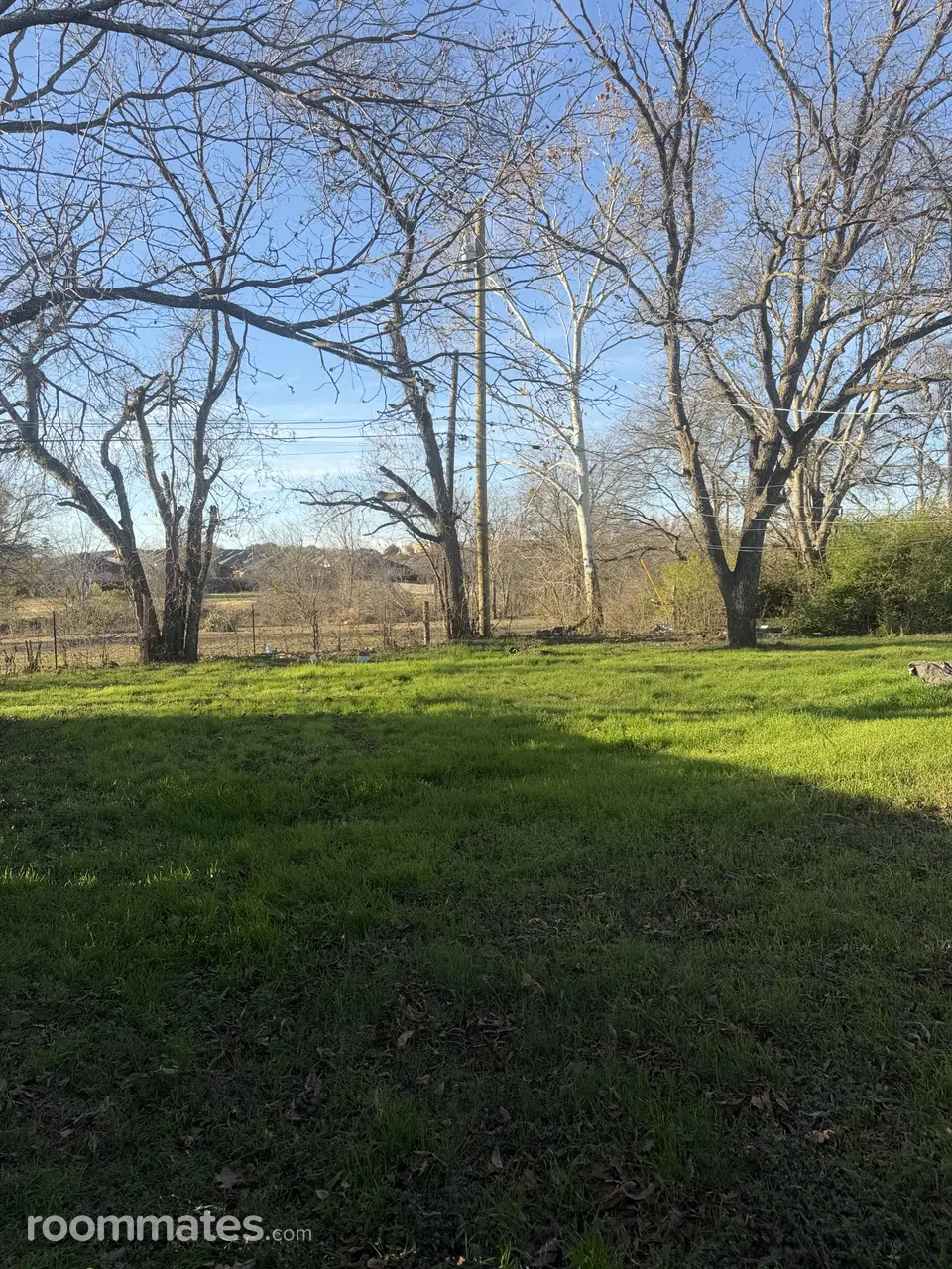 Profile photo 10 of 11