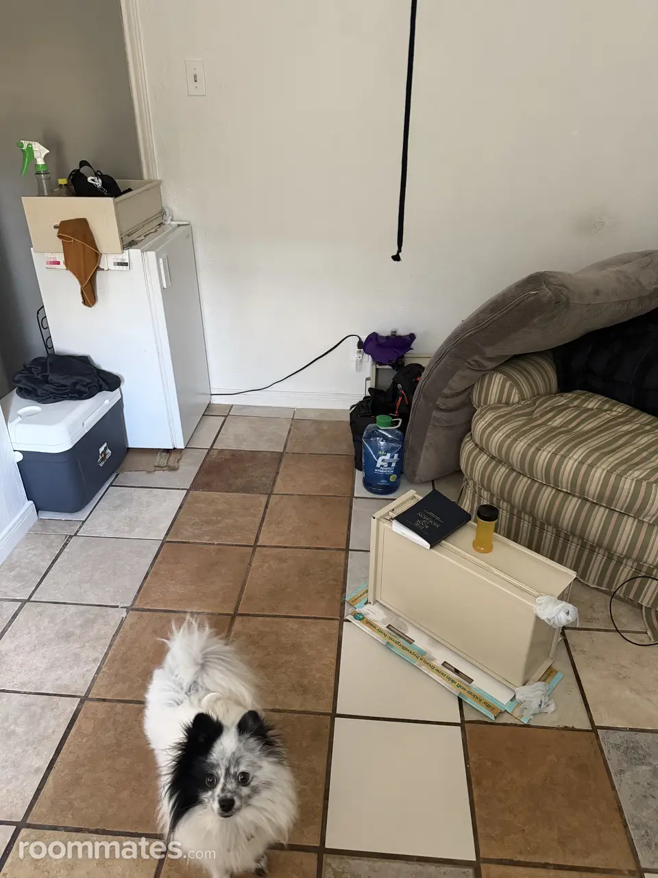 Profile photo 8 of 11