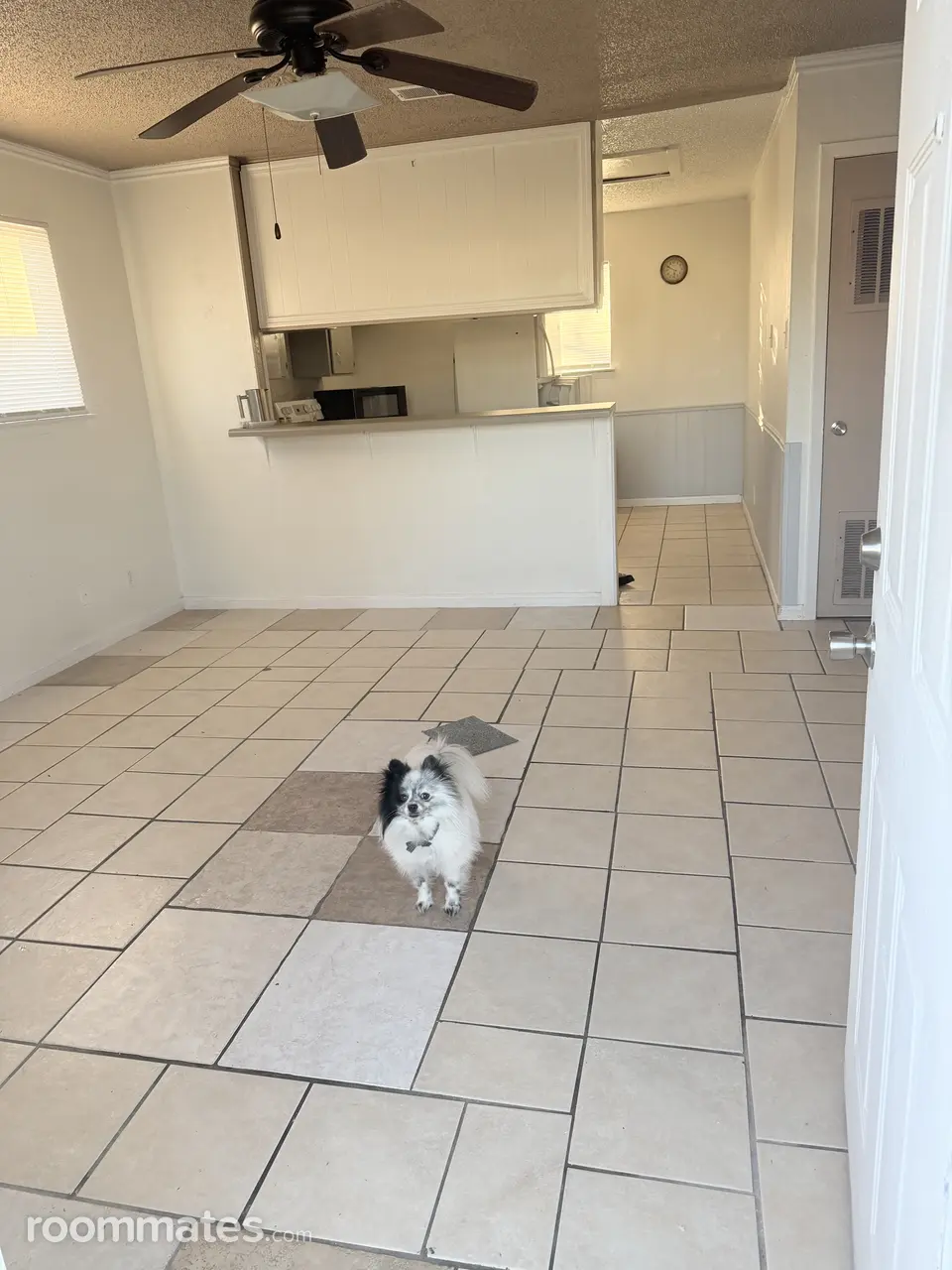 Profile photo 1 of 11