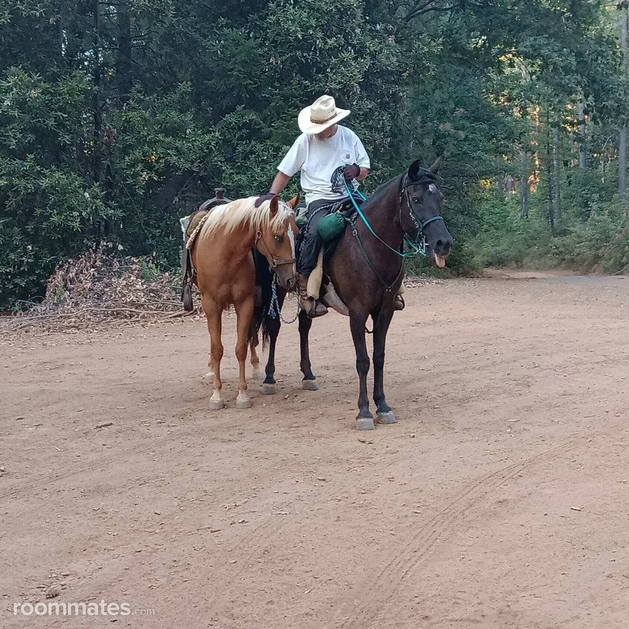 Profile photo 2 of 2