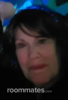 Roommate looking Saint Paul, MN, $800