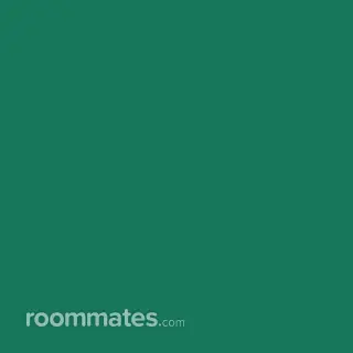 Roommate looking New Haven, CT, $800