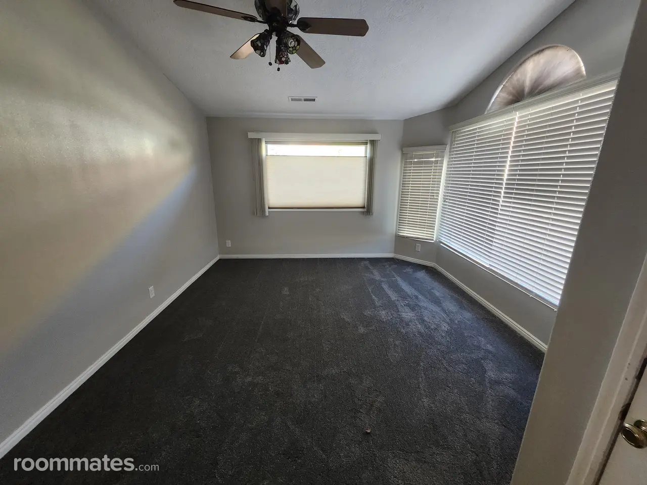 Profile photo 5 of 11