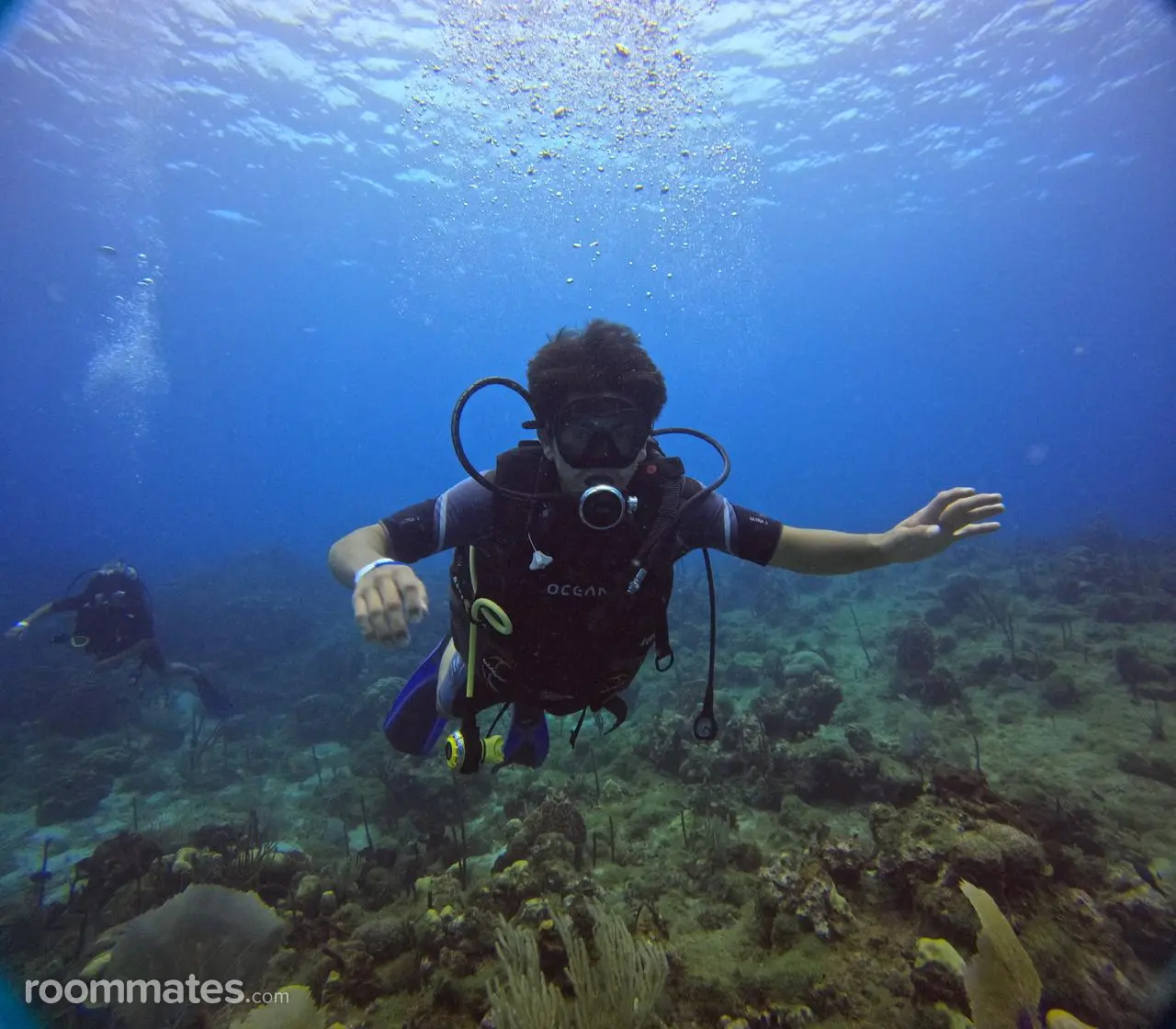 Profile photo 4 of 11