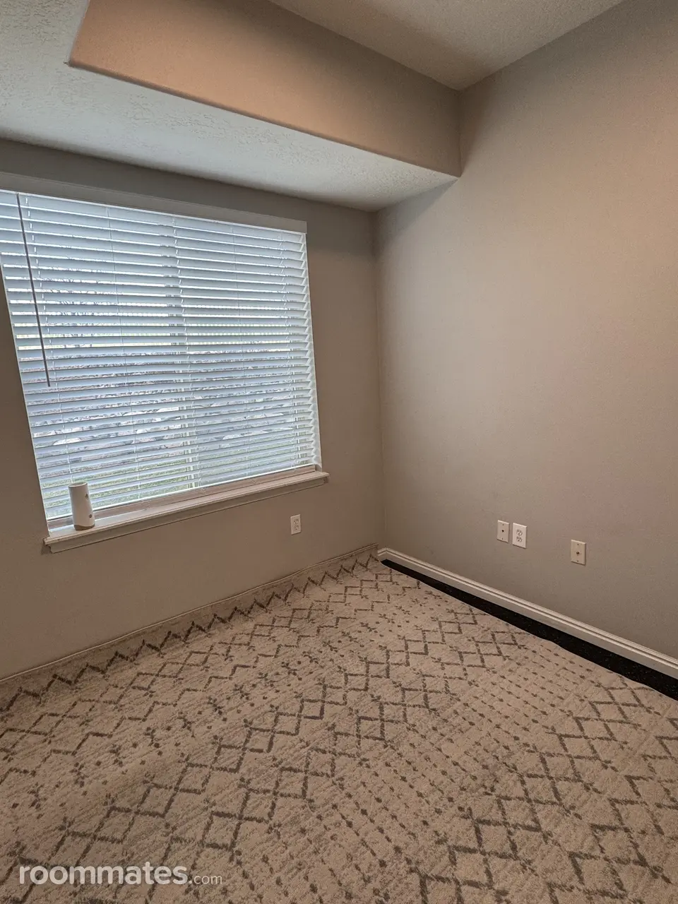 Profile photo 6 of 11