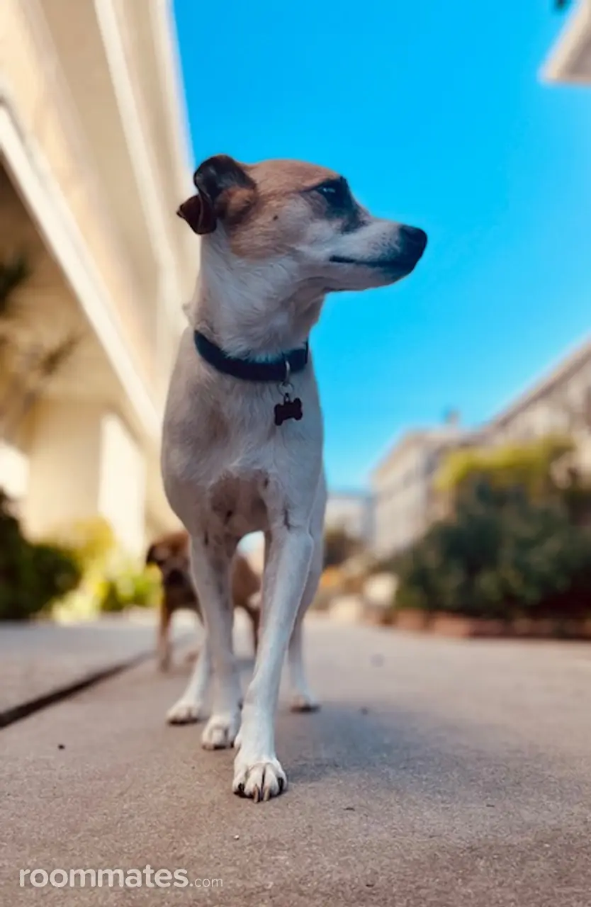 Profile photo 8 of 8