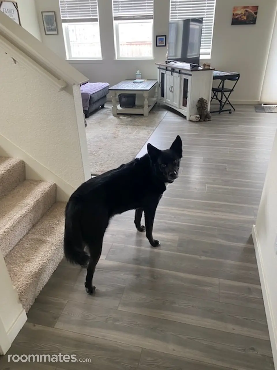 Profile photo 10 of 14