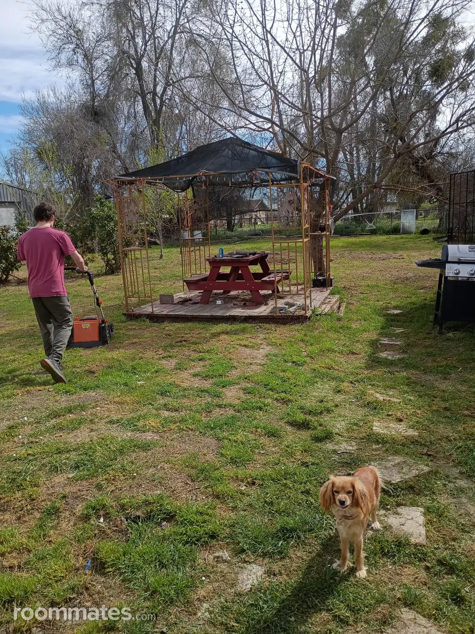 Profile photo 10 of 15