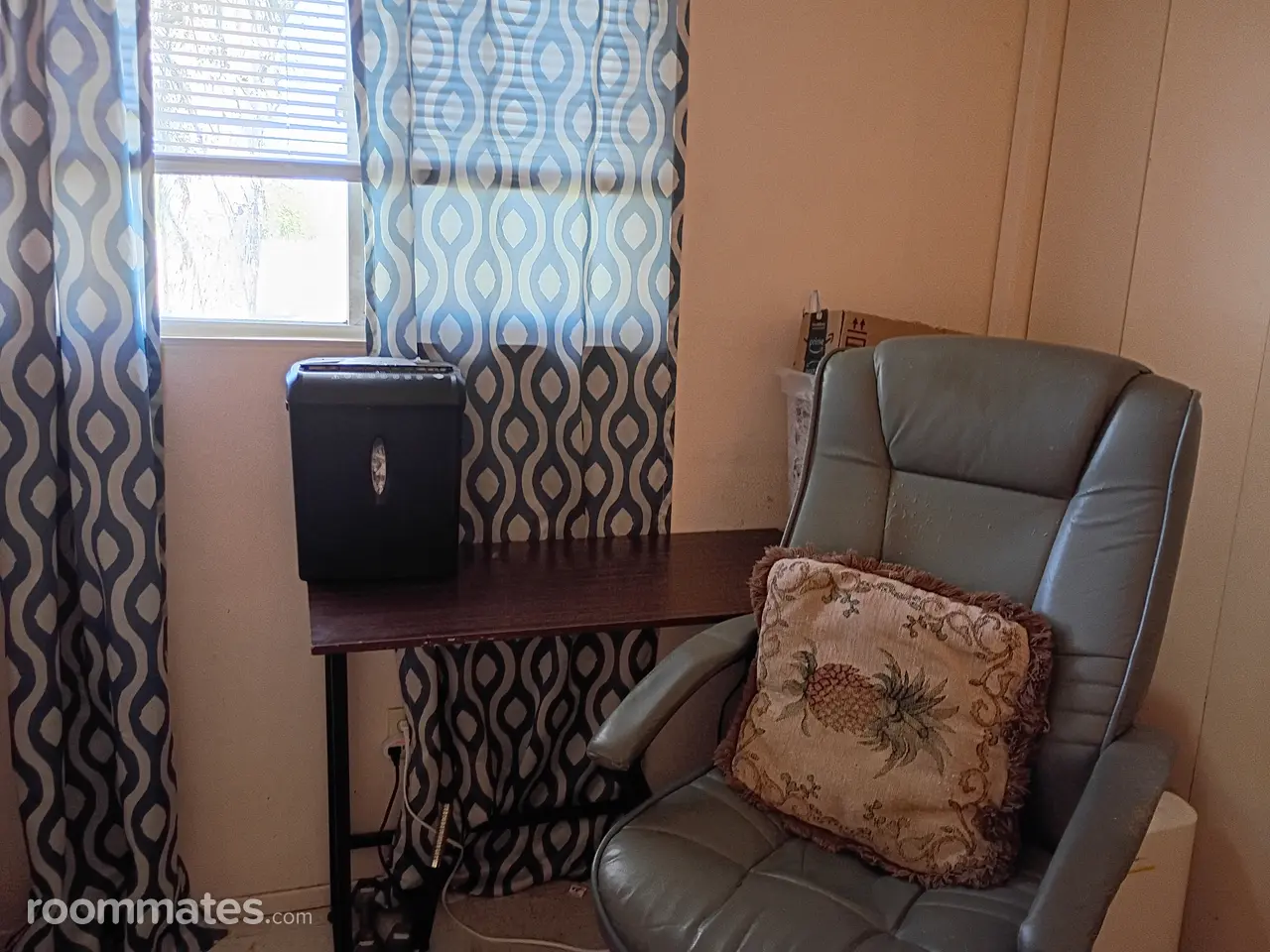 Profile photo 4 of 15