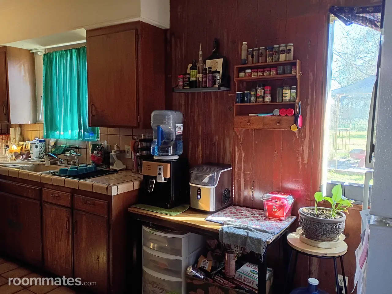 Profile photo 8 of 15