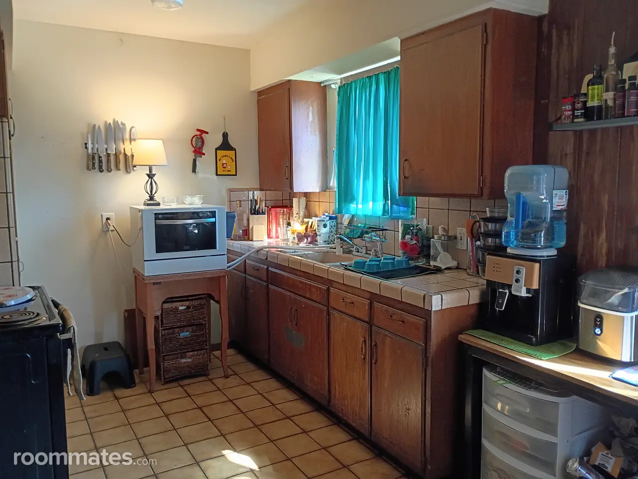 Profile photo 5 of 15