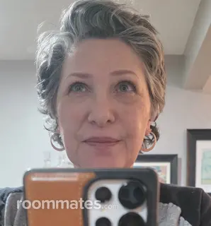 Roommate looking Hamden, CT, $900