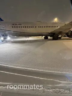 Roommate looking Centreville, VA, $800