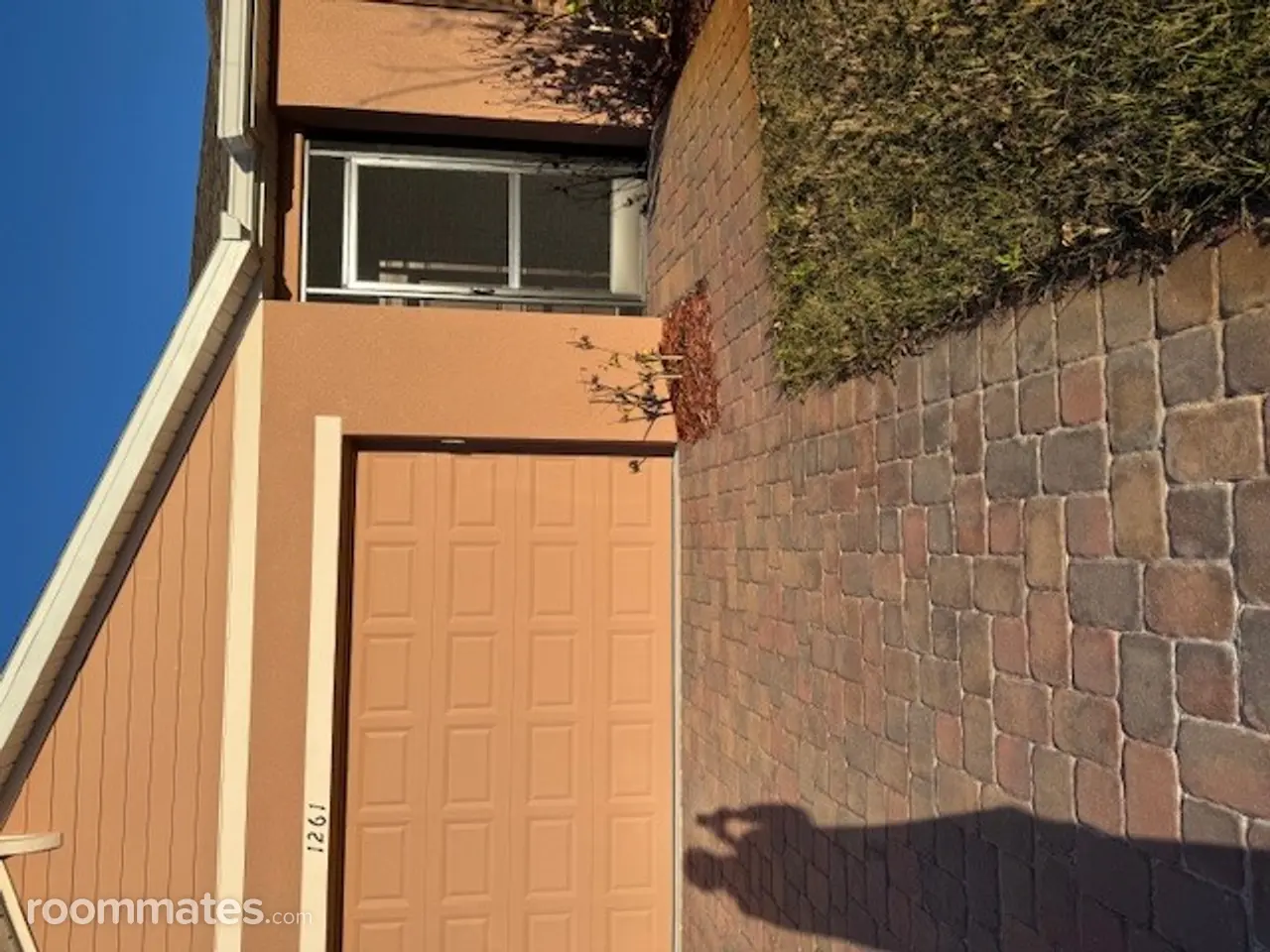 Profile photo 10 of 11