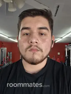 Roommate looking Fayetteville, AR, $600