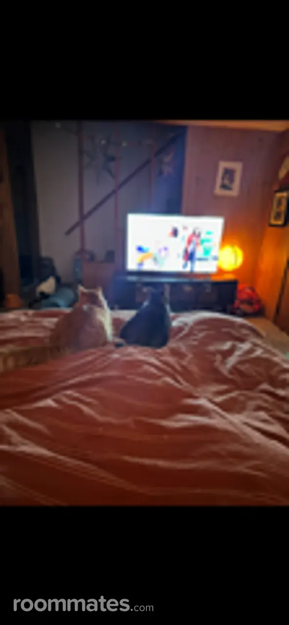 Profile photo 4 of 9