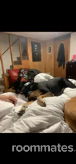 Room for rent in Parkville, MD $700, townhouse