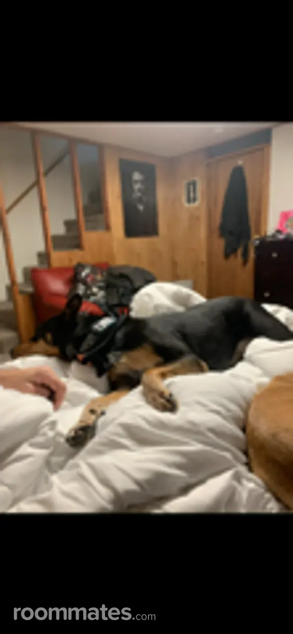 Profile photo 3 of 9