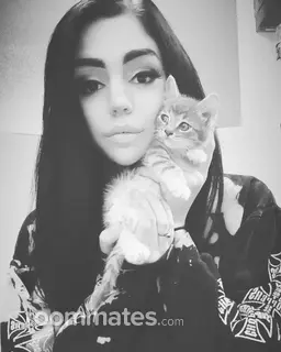 Roommate looking Boulder, CO, $1000