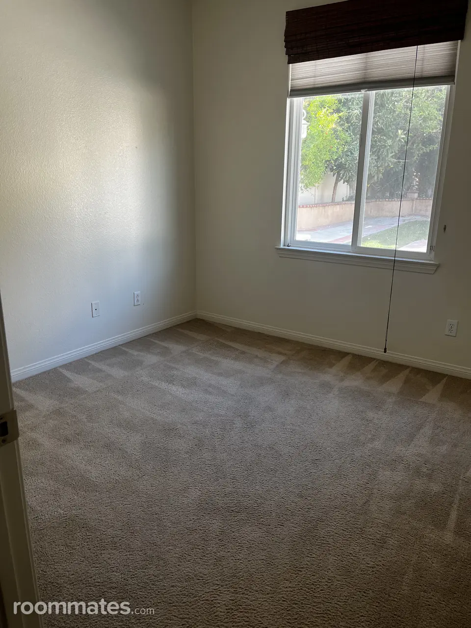 Profile photo 4 of 6