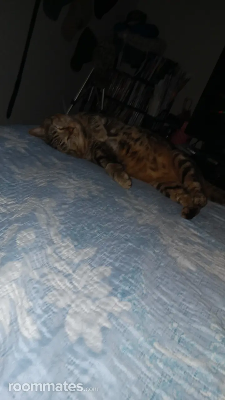 Profile photo 1 of 1