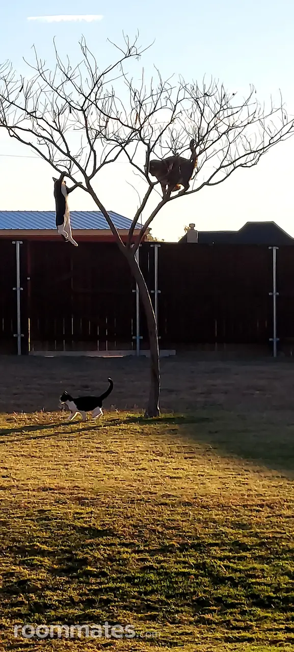 Profile photo 1 of 3