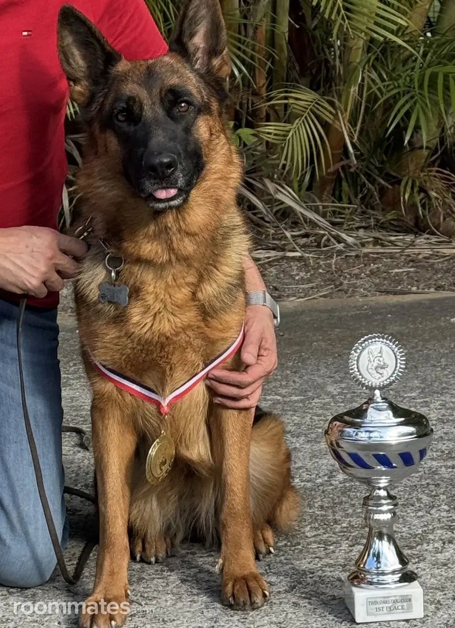 Profile photo 3 of 3