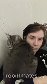 Roommate looking Tempe, AZ, $700