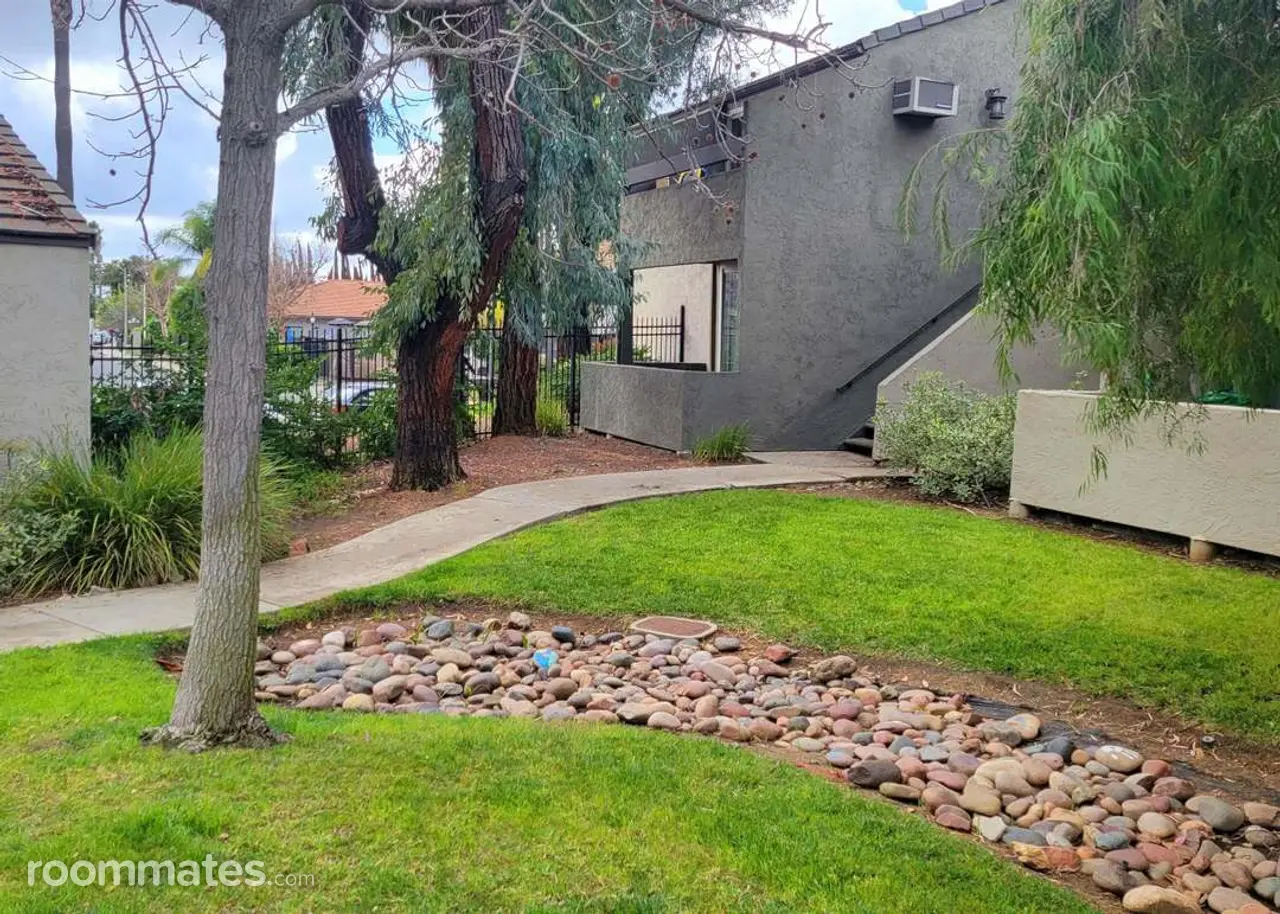 Profile photo 10 of 11