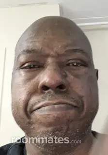 Roommate looking Troy, MI, $1200