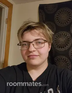 Roommate looking Montgomery, TX, $900