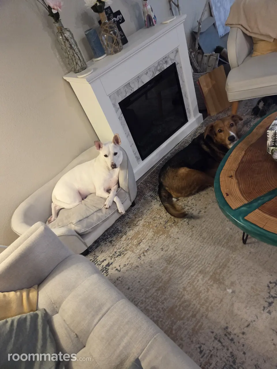 Profile photo 7 of 8