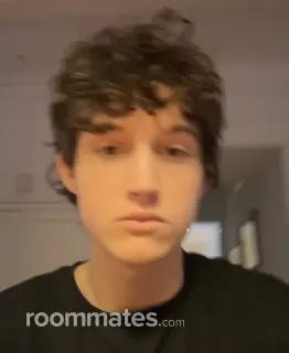 Roommate looking Baltimore, MD, $1500