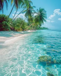 Roommate looking Chesapeake, VA, $1000