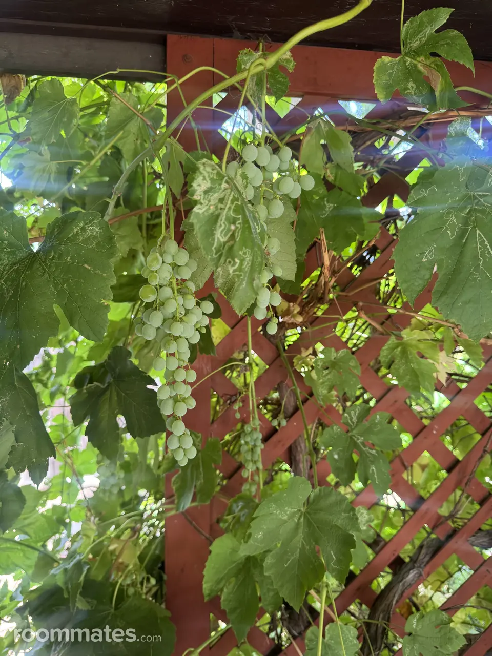 Profile photo 7 of 13