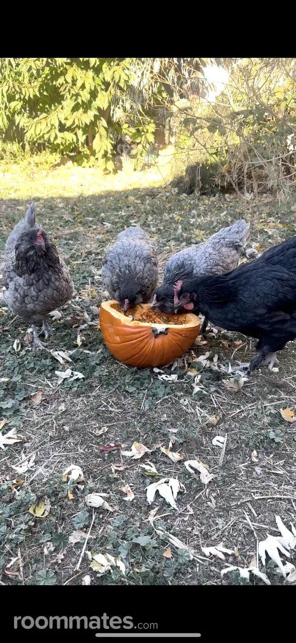 Profile photo 8 of 13