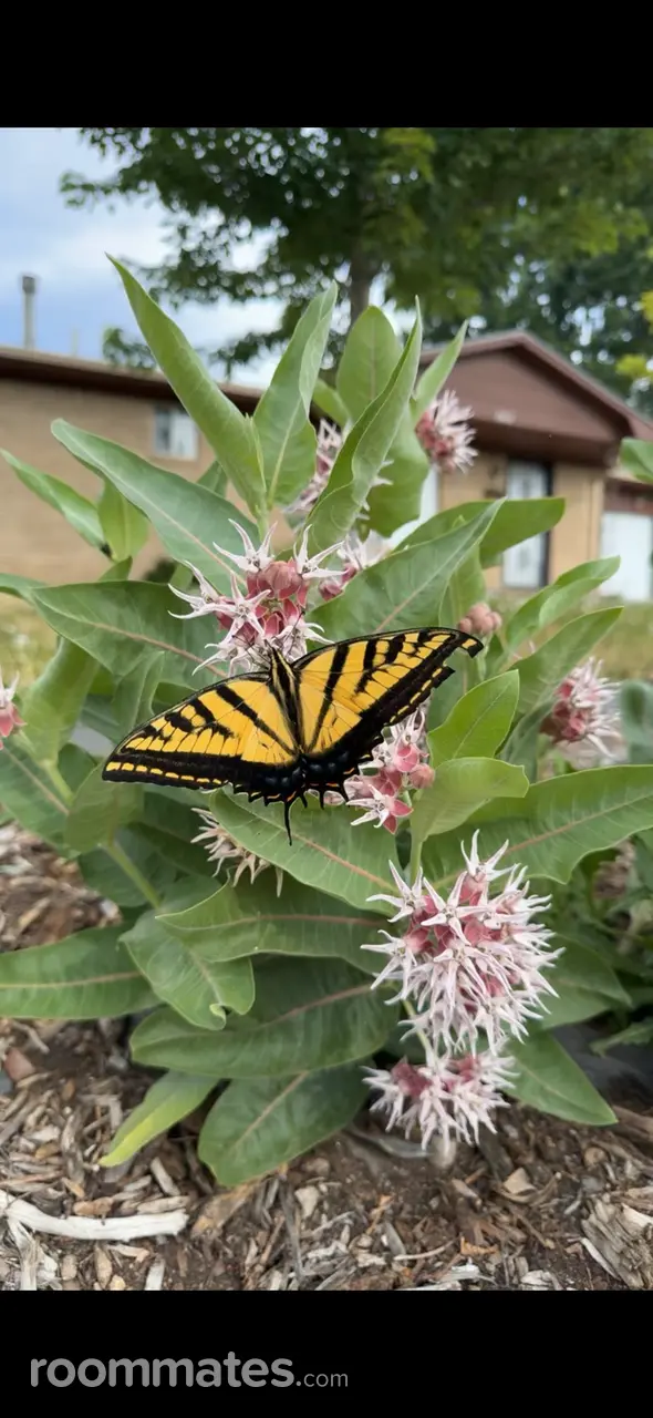 Profile photo 9 of 13