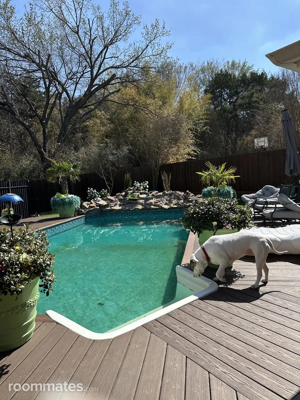 Profile photo 6 of 7